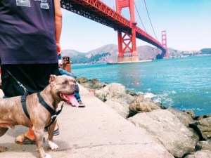 Processed with VSCOcam with c1 preset