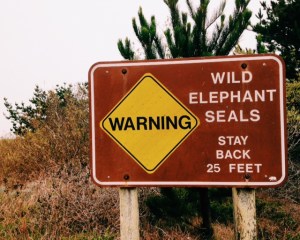 Processed with VSCOcam with c1 preset