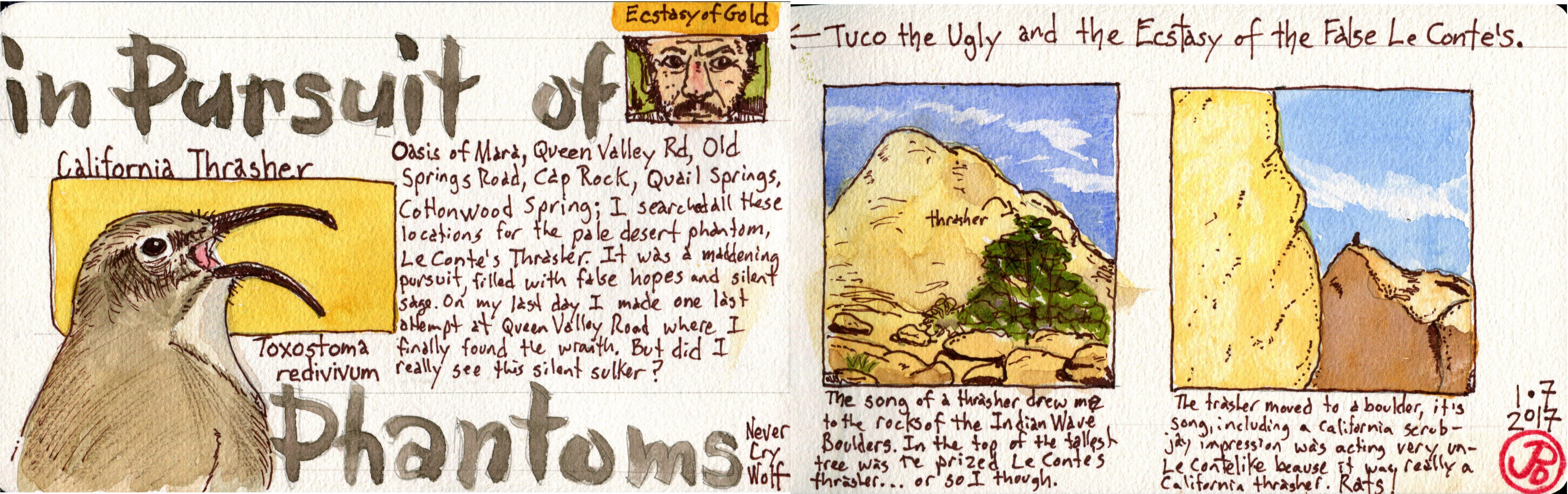 in-pursuit-of-phantoms