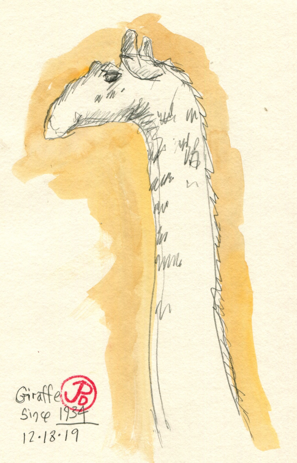 Giraffe