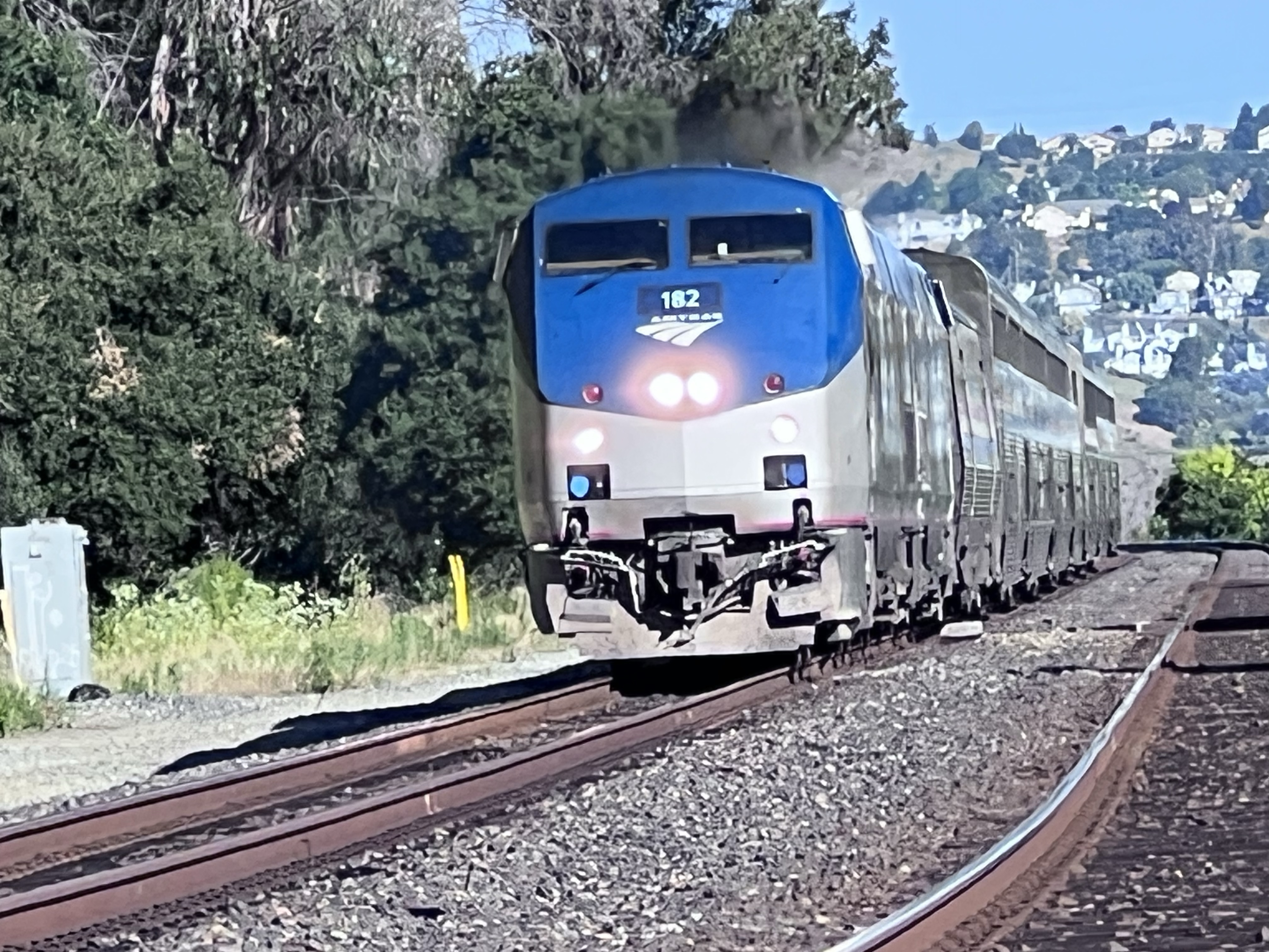 California Zephyr – Corvid Sketcher
